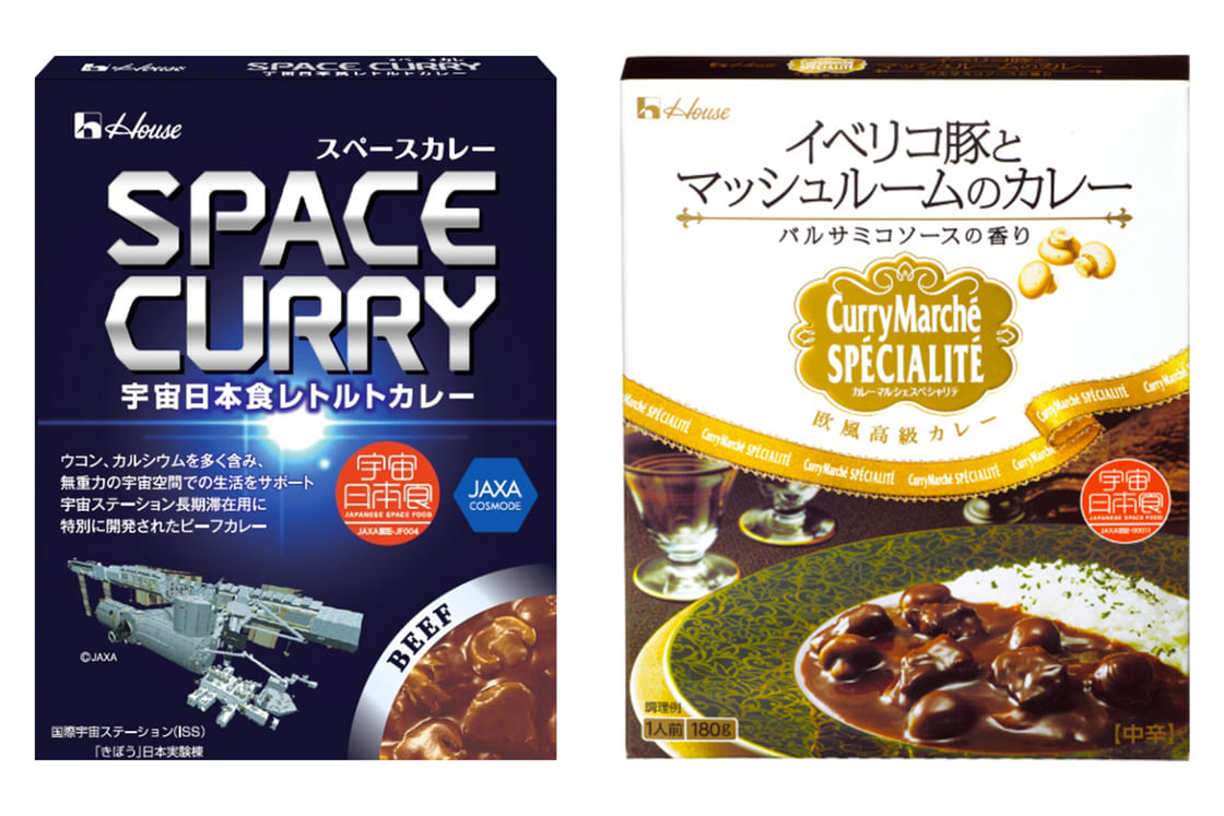 「SPACE CURRY」（左）と「イベリコ豚とマッシュルームのカレー」（右）