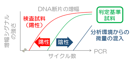 写真:リアルタイムPCRイメージ図