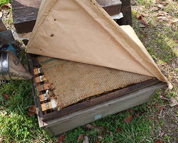 近隣の養蜂家では、巣箱の中に敷いたり、燻煙機の材料にするなど大変好評です。