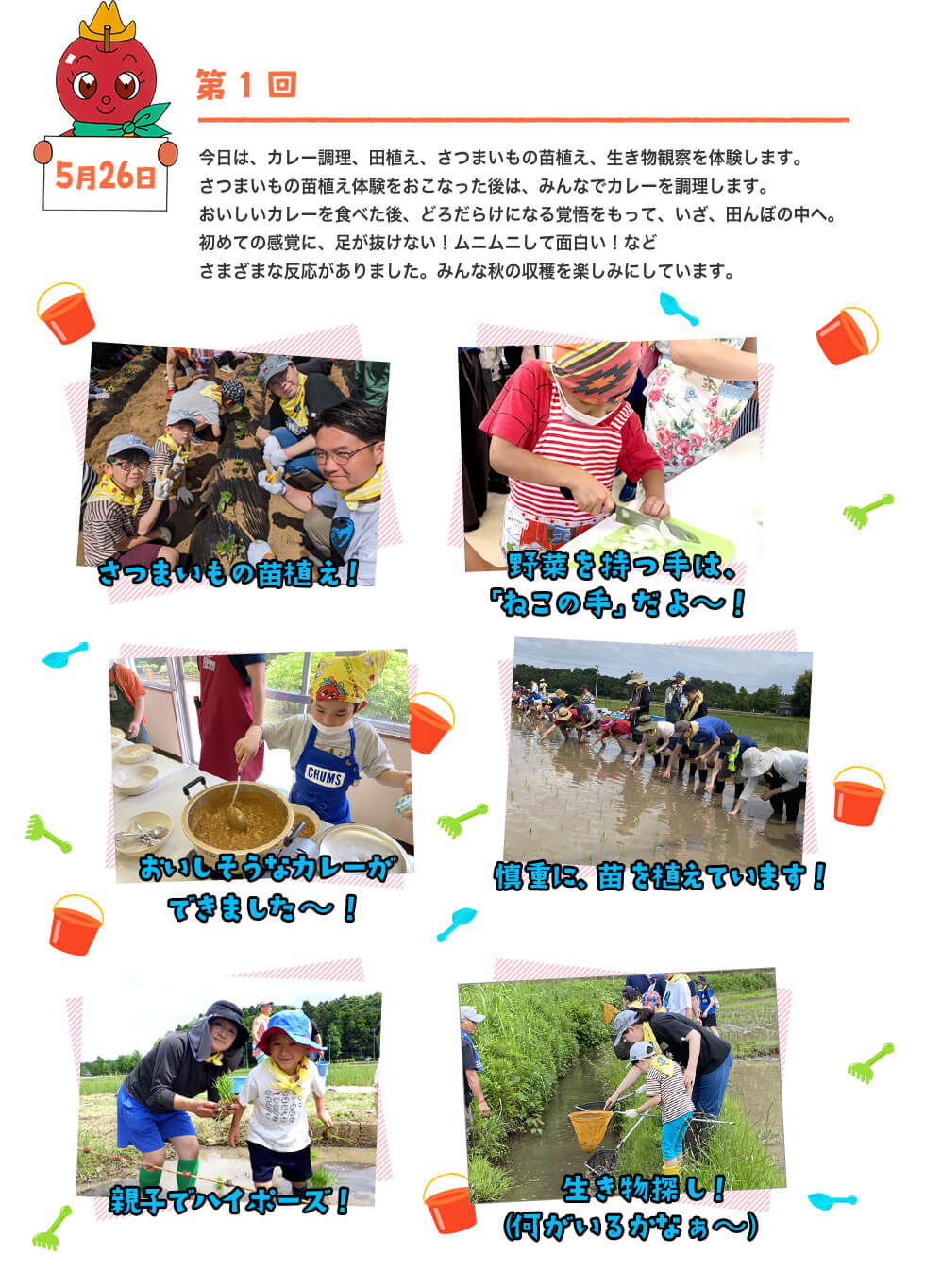 今日は、カレー調理、田植え、さつまいもの苗植え、生き物観察を体験します。さつまいもの苗植え体験をおこなった後は、みんなでカレーを調理します。おいしいカレーを食べた後、どろだらけになる覚悟をもって、いざ、田んぼの中へ。初めての感覚に、足が抜けない！ムニムニして面白い！などさまざまな反応がありました。みんな秋の収穫を楽しみにしています。