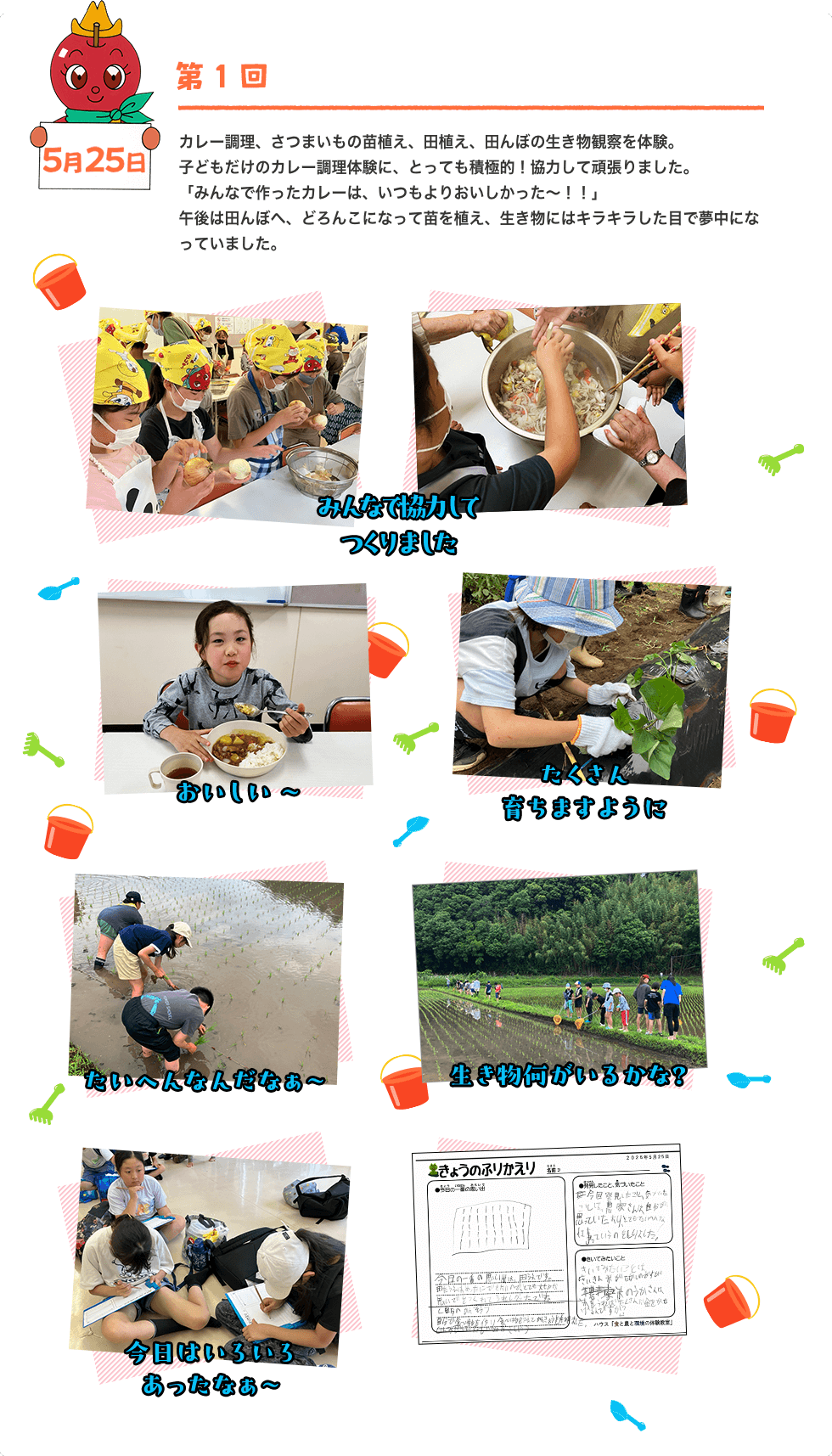 5月25日 第1回 カレー調理、さつまいもの苗植え、田植え、田んぼの生き物観察を体験。子どもだけのカレー調理体験に、とっても積極的！協力して頑張りました。「みんなで作ったカレーは、いつもよりおいしかった〜！！」午後は田んぼへ、どろんこになって苗を植え、生き物にはキラキラした目で夢中になっていました。