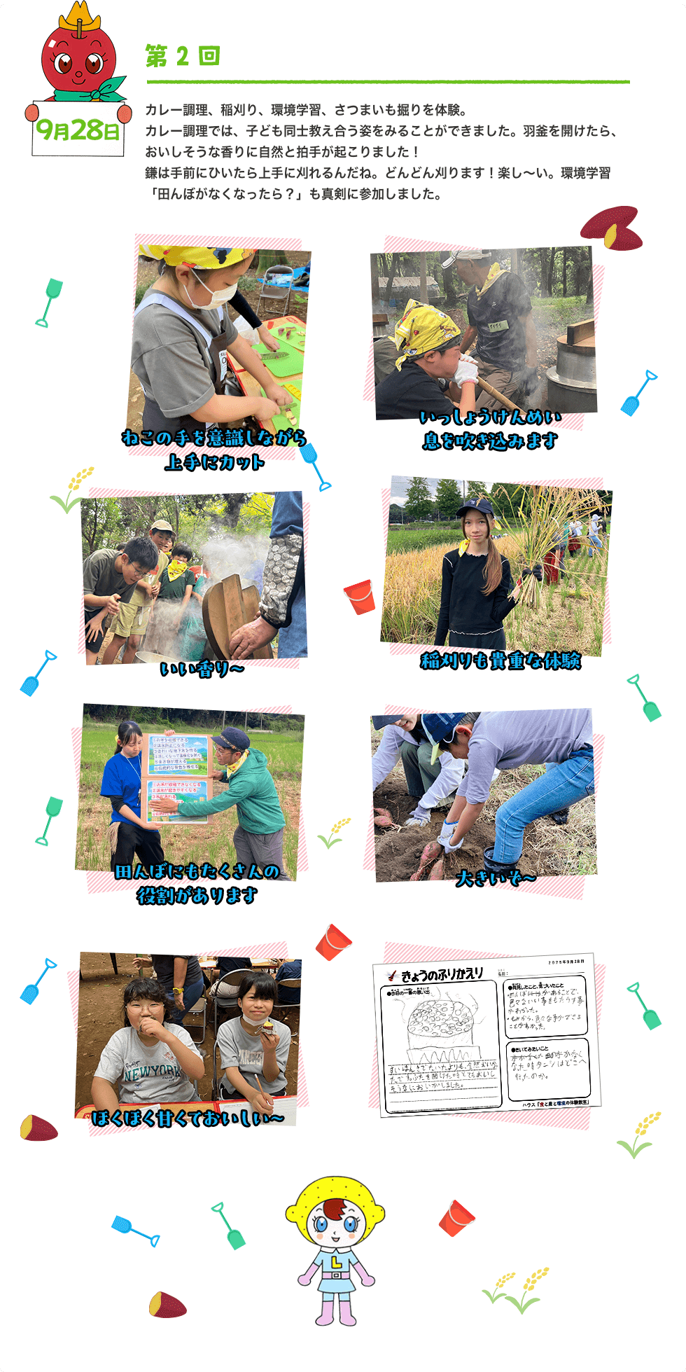 9月28日 第2回 カレー調理、稲刈り、環境学習、さつまいも掘りを体験。カレー調理では、子ども同士教え合う姿をみることができました。羽釜を開けたら、おいしそうな香りに自然と拍手が起こりました！鎌は手前にひいたら上手に刈れるんだね。どんどん刈ります！楽し〜い。環境学習「田んぼがなくなったら？」も真剣に参加しました。