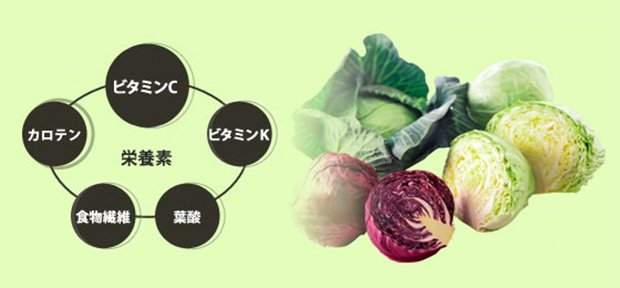 ＞食材を知っておいしく調理　キャベツ