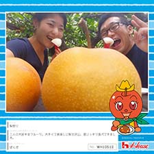 ぱんださん