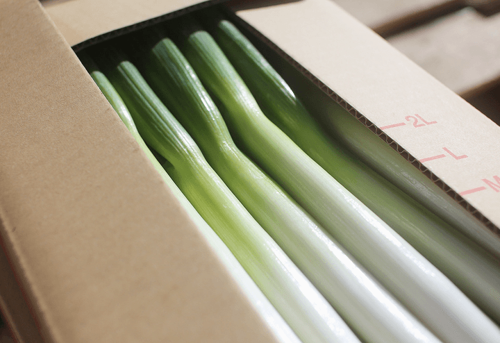 松島兄弟の長ねぎ