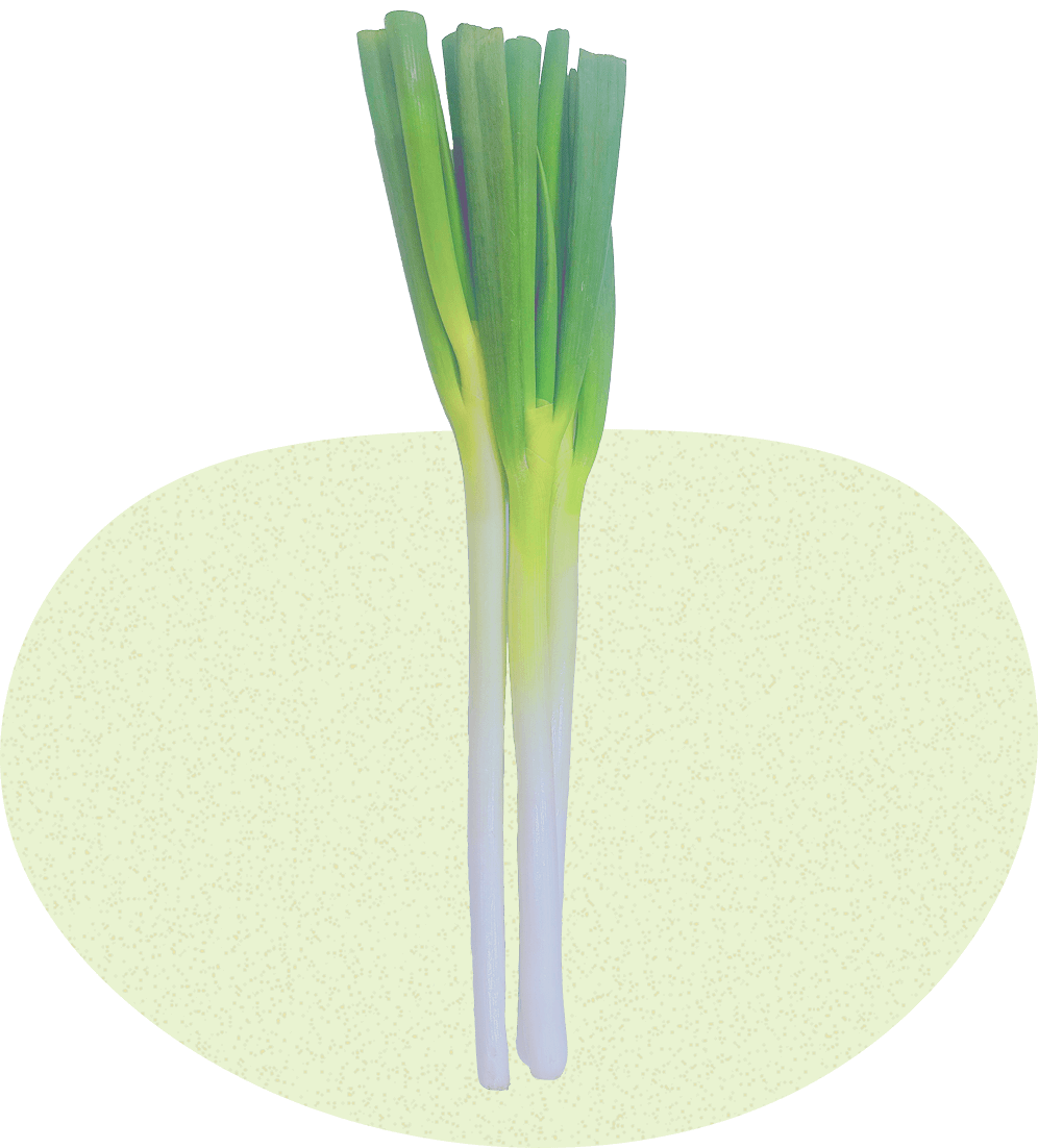 松島兄弟の長ねぎ