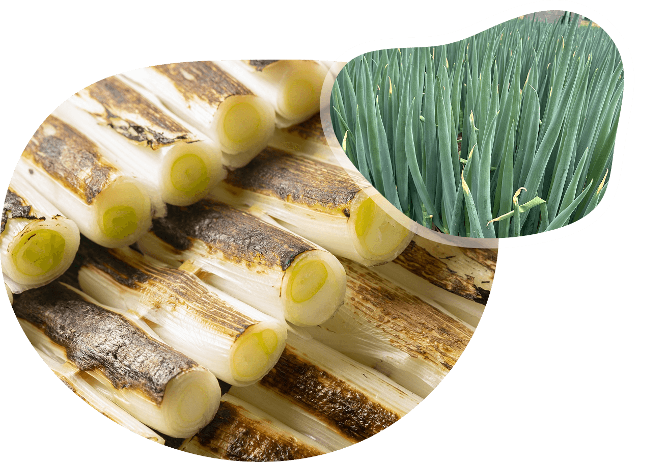 松島兄弟のねぎのおすすめの食べ方