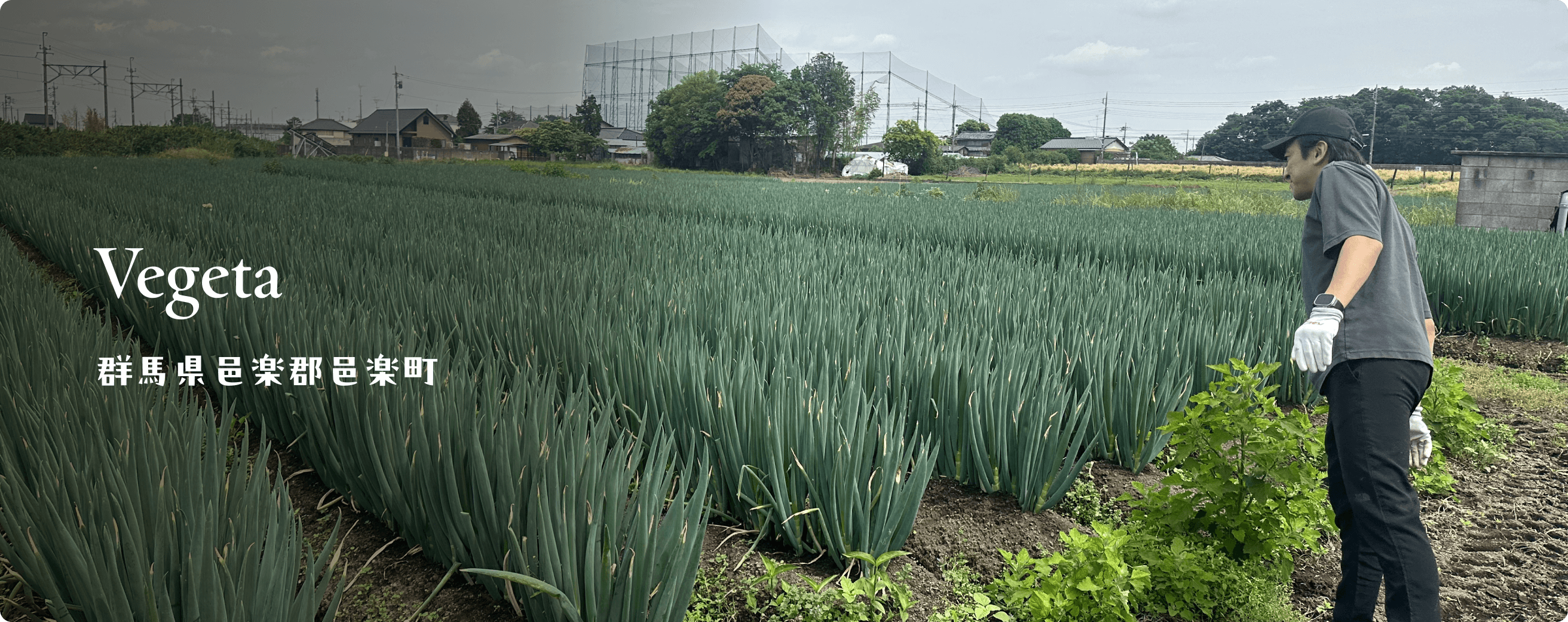 Vegeta 群馬県邑楽郡邑楽町