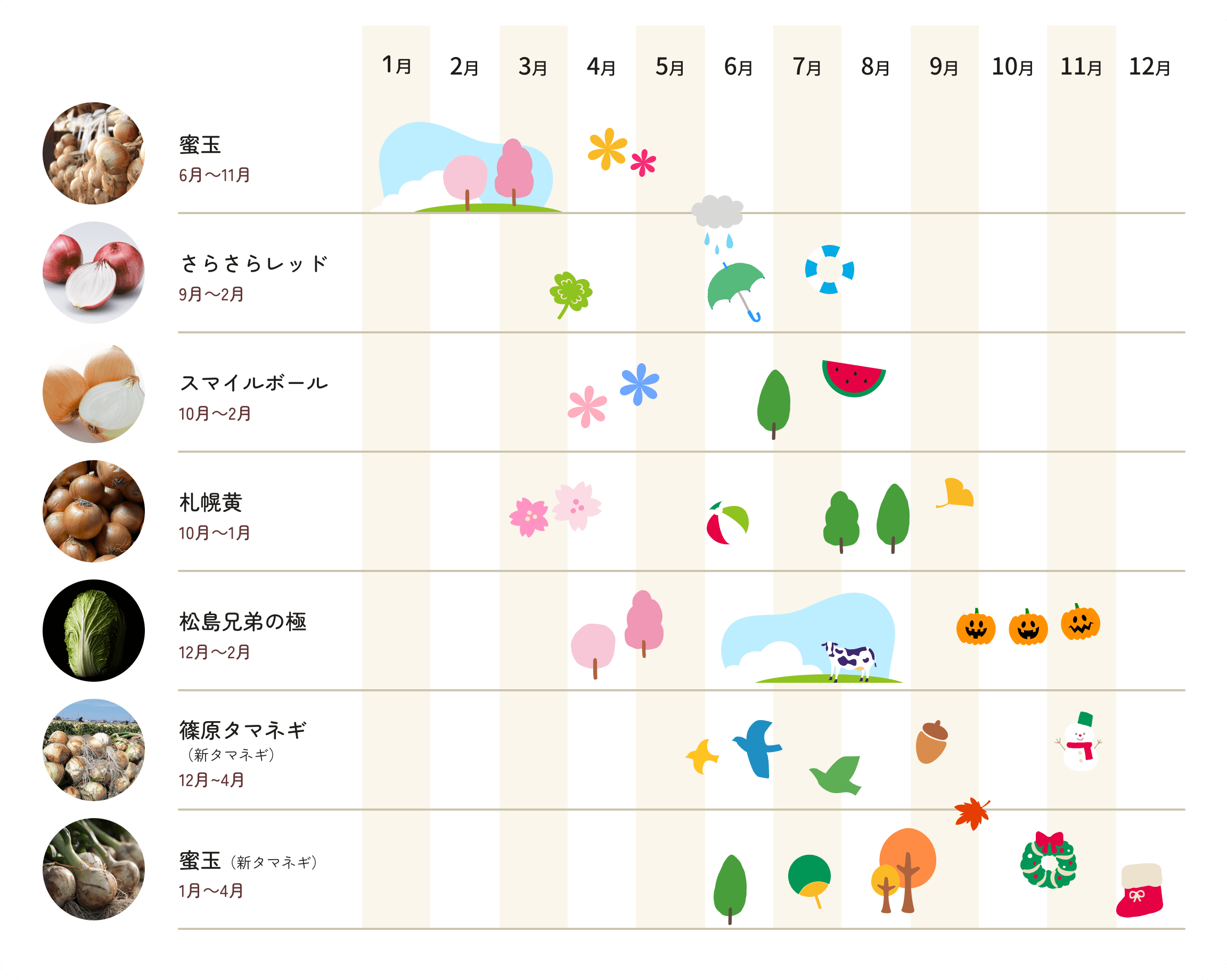 蜜玉 6月~11月 松島兄弟の極 12月~2月 スマイルボール 10月~2月 篠原タマネギ（新タマネギ） 12月~4月 蜜玉（新タマネギ） 1月~4月 札幌黄 10月~1月 さらさらレッド 9月~2月
