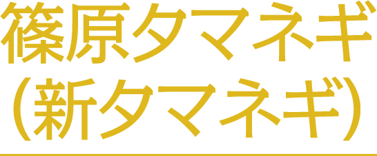 篠原タマネギ（新タマネギ）