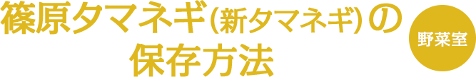 篠原タマネギ(新タマネギ)の保存方法